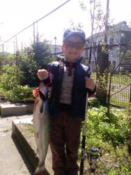 post-19230-0-96615500-1367592282_thumb.j