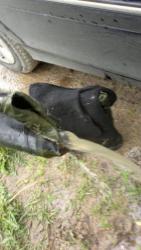 post-20232-0-11937600-1369560297_thumb.j