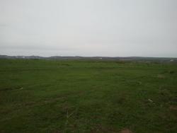 post-20472-0-24152100-1367572142_thumb.j