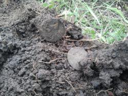 post-20472-0-48897000-1367572167_thumb.j