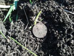 post-20472-0-87181200-1368804529_thumb.j