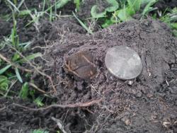 post-20472-0-89805600-1367572168_thumb.j