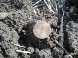 post-20472-0-94140900-1368970593_thumb.j