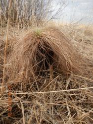 post-2232-0-71823000-1367843434_thumb.jp