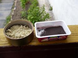 post-23116-0-25274700-1369056227_thumb.j