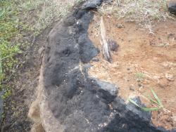 post-23116-0-32796400-1368361004_thumb.j