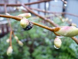 post-23116-0-36556700-1368288375_thumb.j