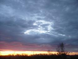 post-23116-0-42664600-1367561113_thumb.j