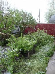 post-23116-0-49793200-1368286650_thumb.j