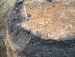 post-23116-0-80752600-1368361029_thumb.j