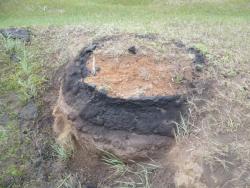 post-23116-0-94548400-1368361039_thumb.j