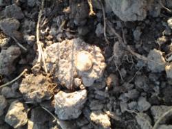 post-23552-0-52251800-1369130323_thumb.j