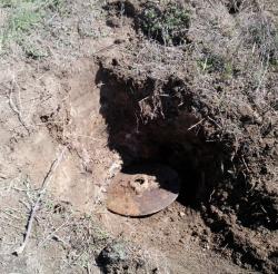 post-23756-0-63417900-1367857553_thumb.j