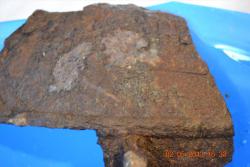 post-24328-0-23369700-1367544575_thumb.j