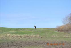 post-24328-0-56761400-1367544295_thumb.j