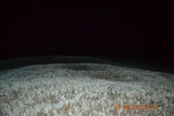 post-24328-0-81535100-1367544155_thumb.j