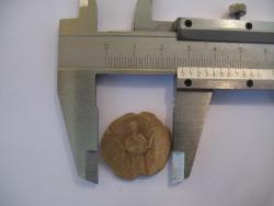 post-25784-0-79263900-1368790328_thumb.j