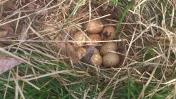 post-26692-0-90792200-1369427583_thumb.j