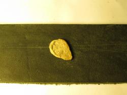 post-27165-0-58400800-1369171903_thumb.j