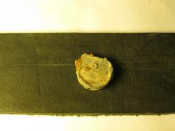 post-27165-0-68973400-1369171699_thumb.j