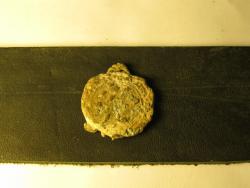 post-27165-0-90855300-1369171490_thumb.j