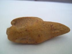 post-27248-0-11240900-1369408047_thumb.j