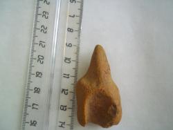 post-27248-0-72018000-1369408037_thumb.j