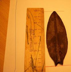 post-27261-0-61396000-1369498129_thumb.j