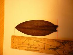 post-27261-0-93419200-1369498795_thumb.j