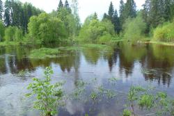 post-2838-0-01310500-1368951734_thumb.jp