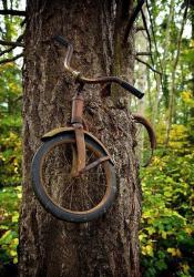 post-2838-0-17473100-1368809730_thumb.jp