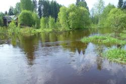 post-2838-0-19243800-1368951751_thumb.jp