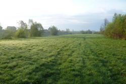 post-2838-0-25959200-1368686518_thumb.jp