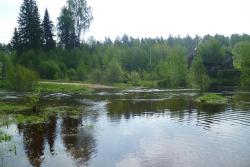 post-2838-0-29904000-1368951712_thumb.jp