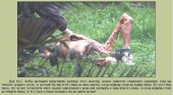 post-2838-0-35926900-1369804316_thumb.jp