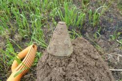 post-2838-0-87518500-1368686594_thumb.jp