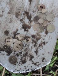 post-3053-0-39533100-1367759804_thumb.jp