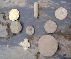 post-3053-0-54877800-1367759893_thumb.jp