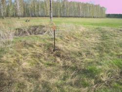 post-4269-0-00230900-1368634814_thumb.jp