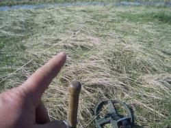 post-4269-0-10575100-1368288463_thumb.jp