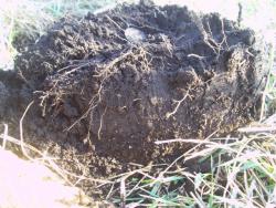 post-4269-0-42843300-1367599830_thumb.jp