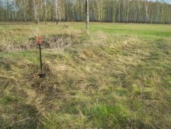 post-4269-0-82477900-1368634783_thumb.jp