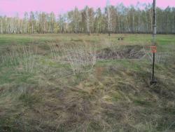 post-4269-0-92832100-1368634837_thumb.jp