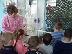 post-4485-0-72004700-1367940462_thumb.jp