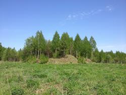 post-4820-0-80055800-1368864653_thumb.jp