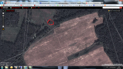 post-4820-0-82101700-1368865402_thumb.pn