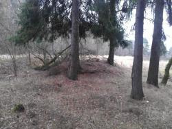 post-4840-0-23270900-1368872654_thumb.jp