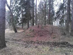 post-4840-0-50961700-1368872650_thumb.jp