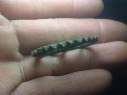 post-4989-0-17179700-1370026217_thumb.jp