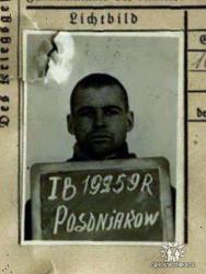 post-6527-0-98758300-1369483758_thumb.jp